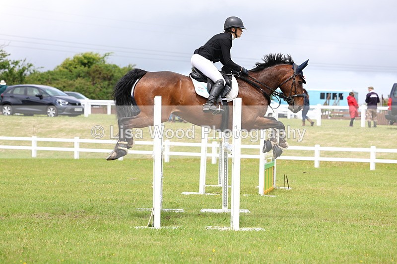 3E7A7093 - Class 12: Senior Foxhunter/1.20 open