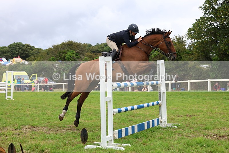 3E7A8615 - Class 8: Senior Foxhunter/1.20m open
