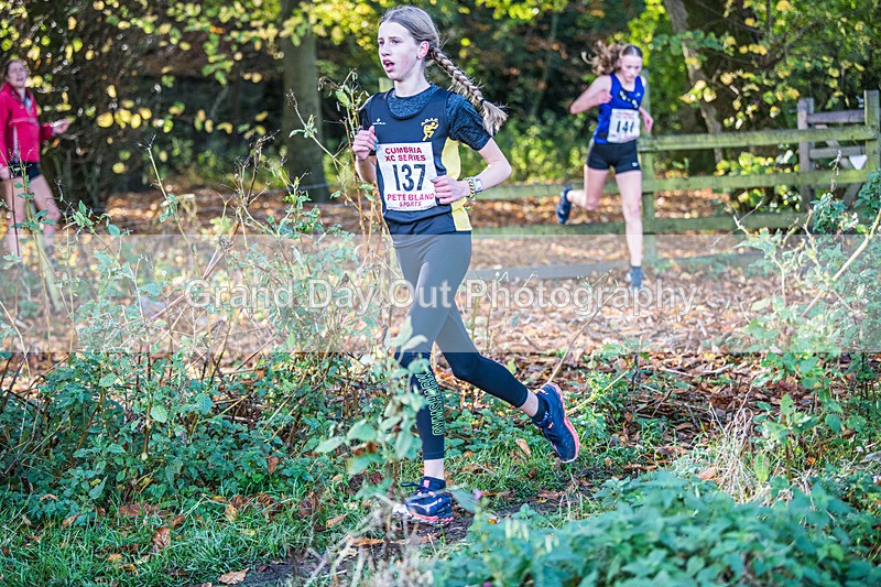 Cumbria XC-290 - Cumbria XC League Workington Saturday 26th October 2024