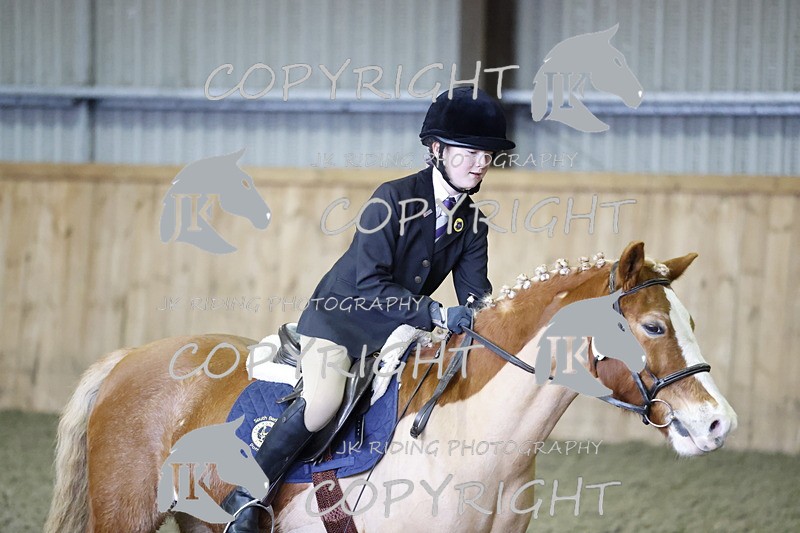 _R6A1386 - Class 1 walk trot 2022