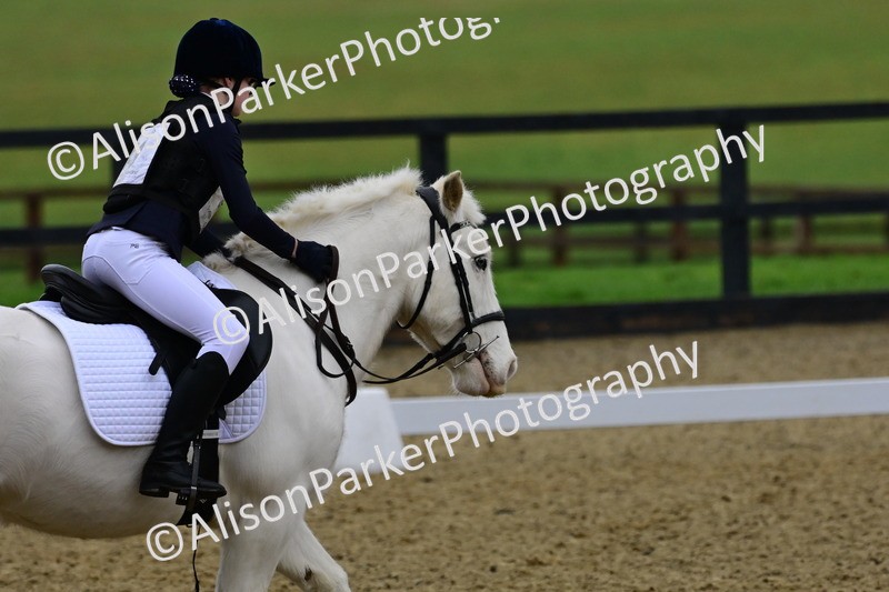 20260125-0599 - Class 9b - Walk Trot Unassisted