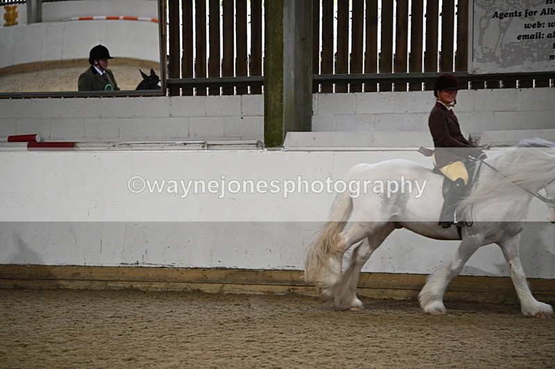 WJ7_4419 - Class 17 Ridden Cob