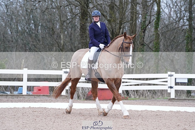 250214-102058-00113 - 224-Jill.McFarland-Adoon.Punchbowl