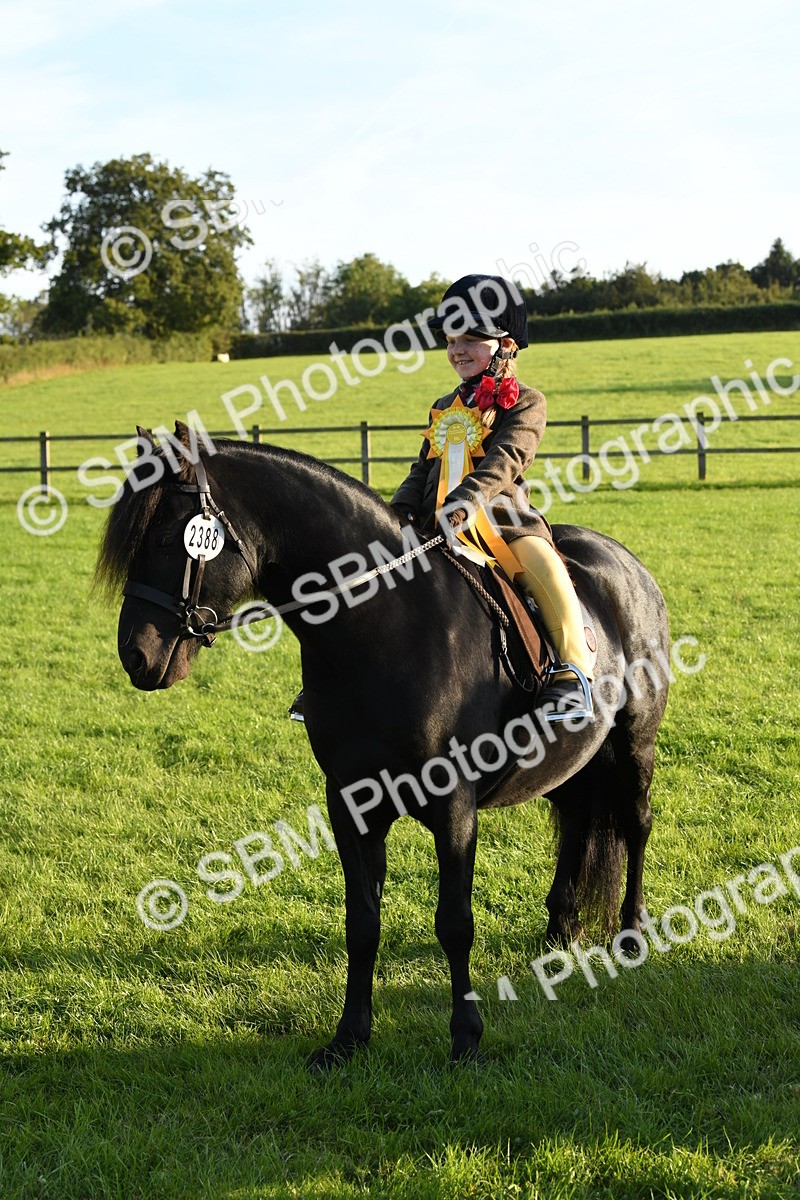 SBM_54180 - S23 - 1st Ridden Mountain & Moorland Pony