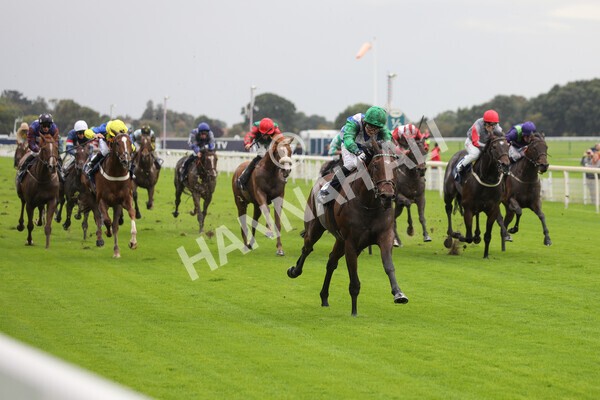 yr07102022r2-24 - Race 2 2.40pm William Hill Autumn Mile