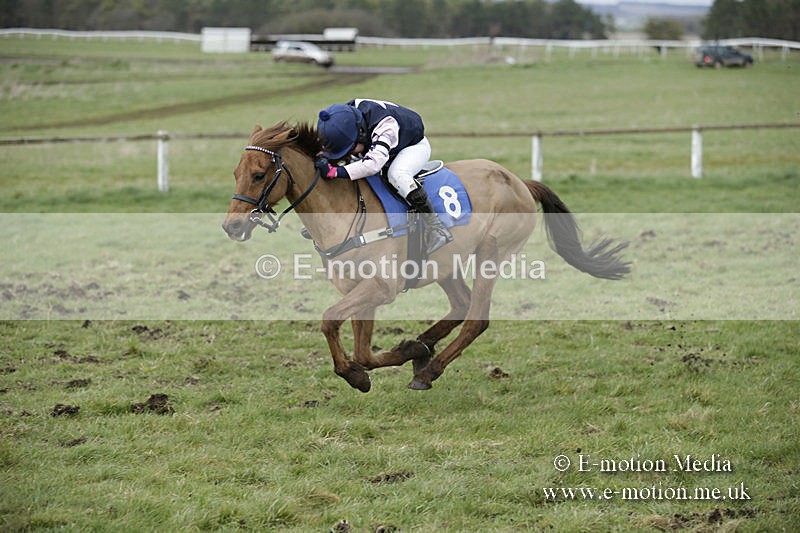 PtP 150320 0786 - New Forest Point-to-Point Larkhill 15/03/20
