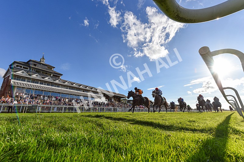 140926-Race 7-Forest Caper-2 - Race 7 5.21pm Bowel Cancer Screening Programme Saves Lives Handicap