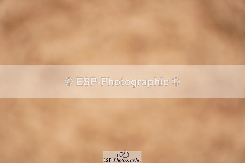 240524A-093222-02499 - Cls 13 Snr 1.05m and 1.10m