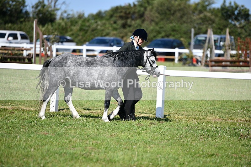 DSC_6415 - Class 53: NPS M&M 4 years and over Small Breeds