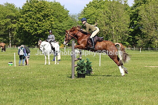 IMG_4341 - Working Hunter