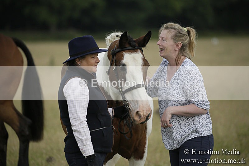 B230619-0191 - Bourne Valley Riding Club Summer Show 23/06/19
