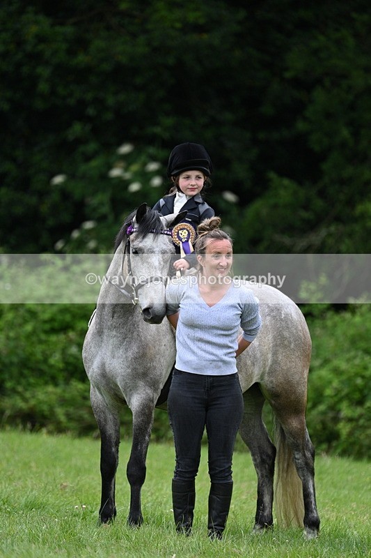 WJ7_4268 - Class 14A Handsome Gelding