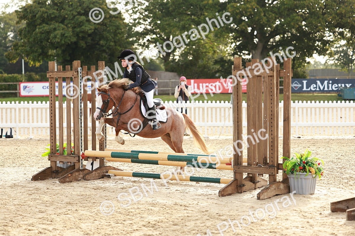 SBM_55536 - J11 - Junior Pony 50cm Championship