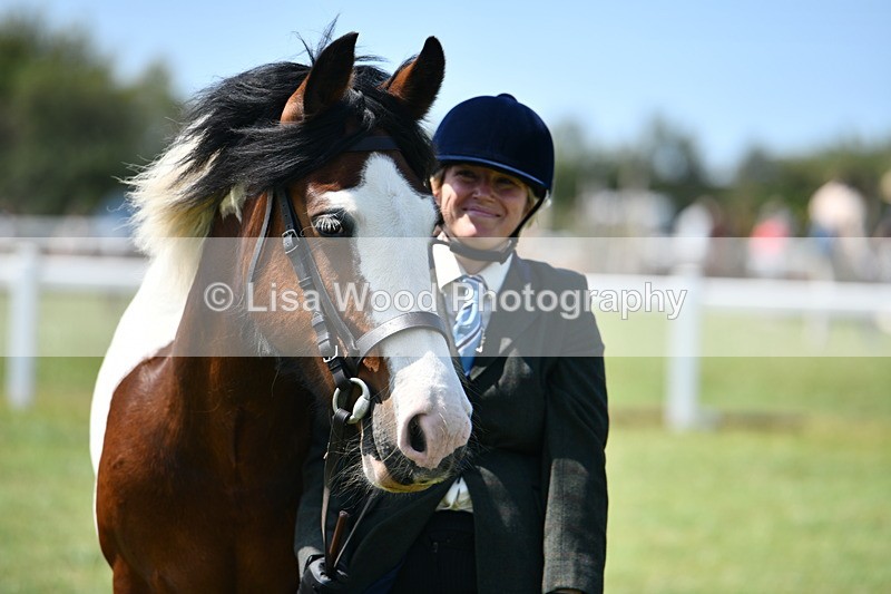 DSC_7771 - Class 64: Coloured Pony 4yrs & over