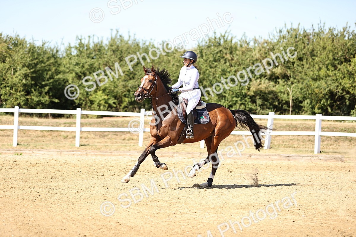 SBM_015628 - Class 16 - Senior foxhunter - 1.20m Open