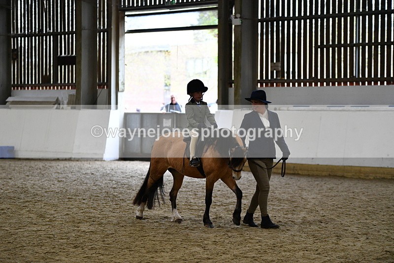 WJ5_6752 - Class 10 Childs Pony