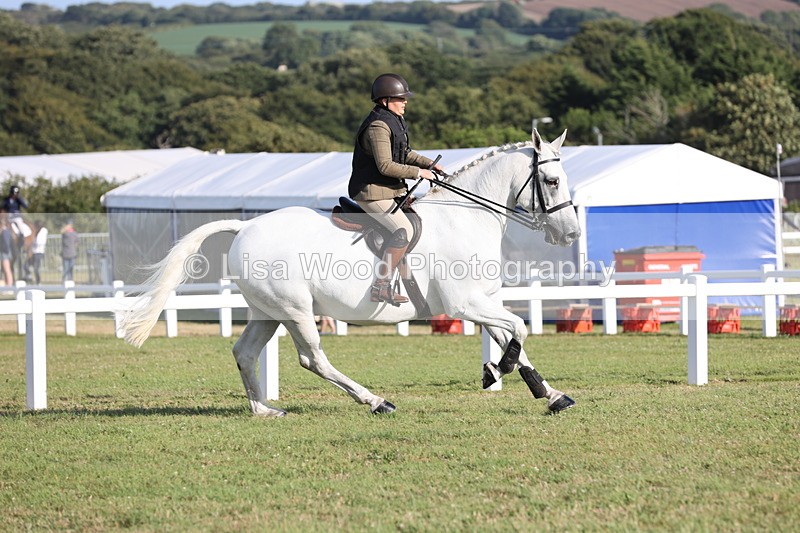 JPP_3351 - Class 22: Working Hunter 90cm