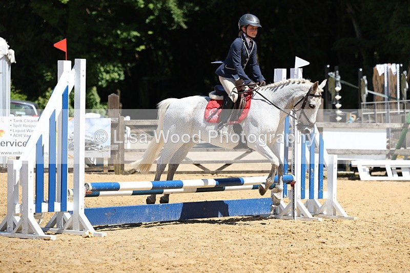 3E7A2419 - Class 4/5: 60cm Open Teams and Individuals