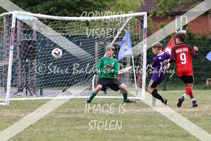 1DX31013 - Brook Field V Goddard Park