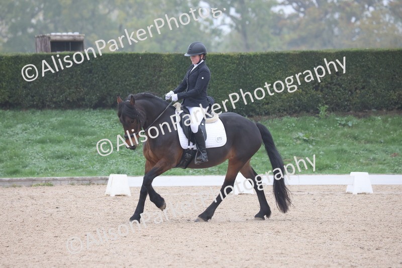 20251012-0447 - Class 3 - Novice 5