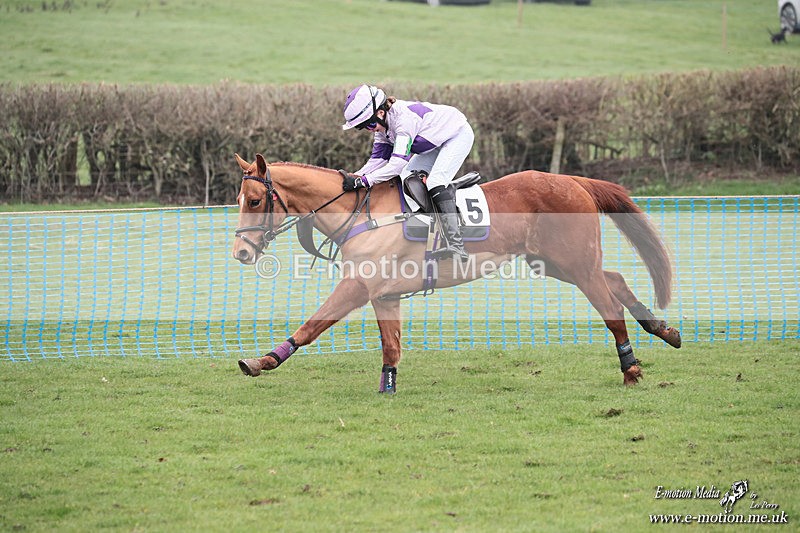PR PtP 080326 459 - Guilsborough Pony Races 08/03/26