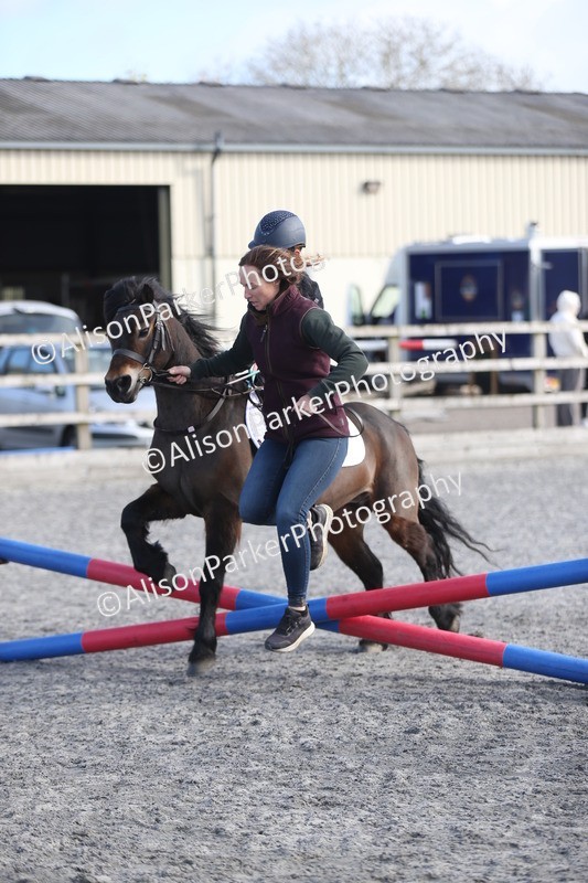 20260412-0049 - Show Jumping