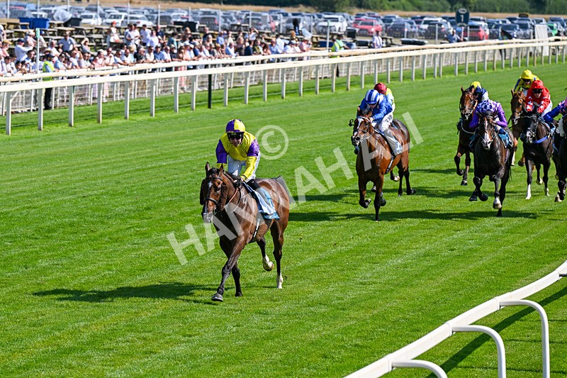 100726-Race 5-Dark Moon Rising-0346 - Race 5 16.30pm Azets Handicap