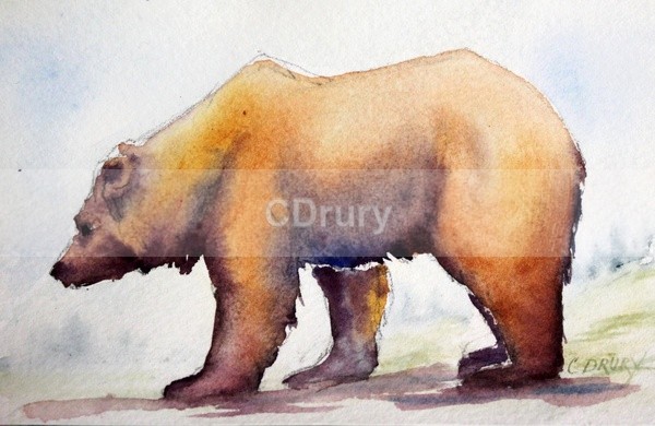 WCW02172 Bruin - Watercolor Wildlife