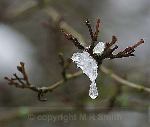 Melting Snow - MACRO & CLOSE UPS