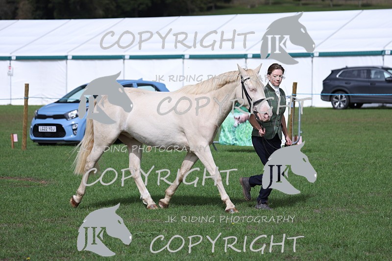 APP_2958 - Class 10a/b M&M in hand