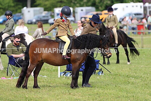 IMG_2284 - Working Hunter
