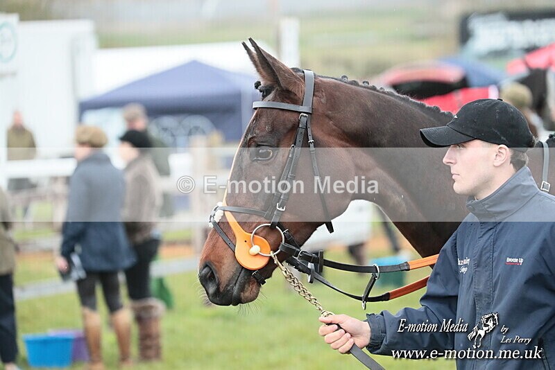 PtP 130425 343 - Edgecote Races 13/04/25