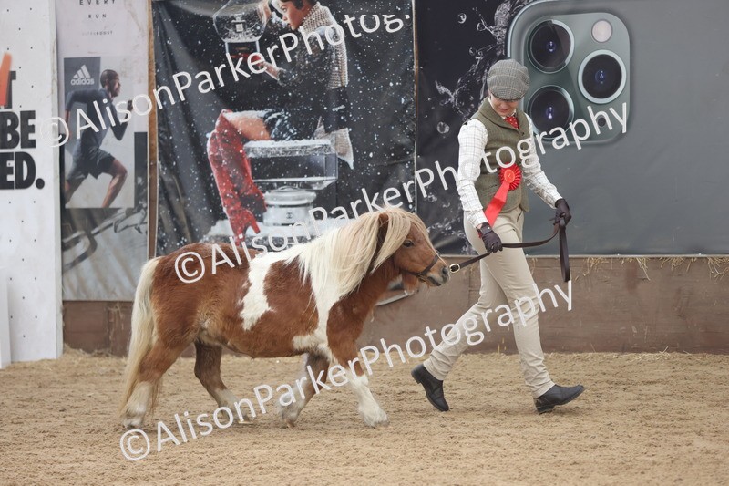 20251109-0360 - Class 13 - Mares 4 Years and Over