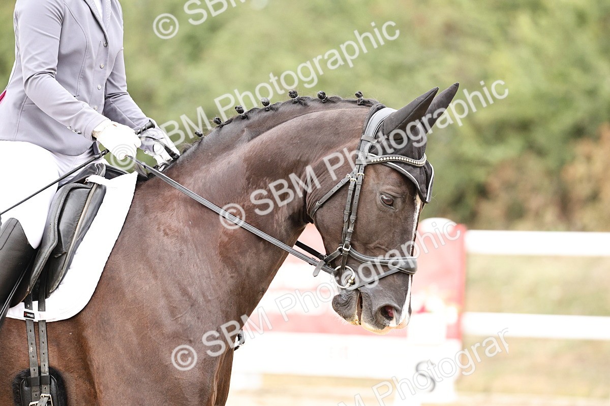 SBM_019683 - Class 18 - Elementary 5