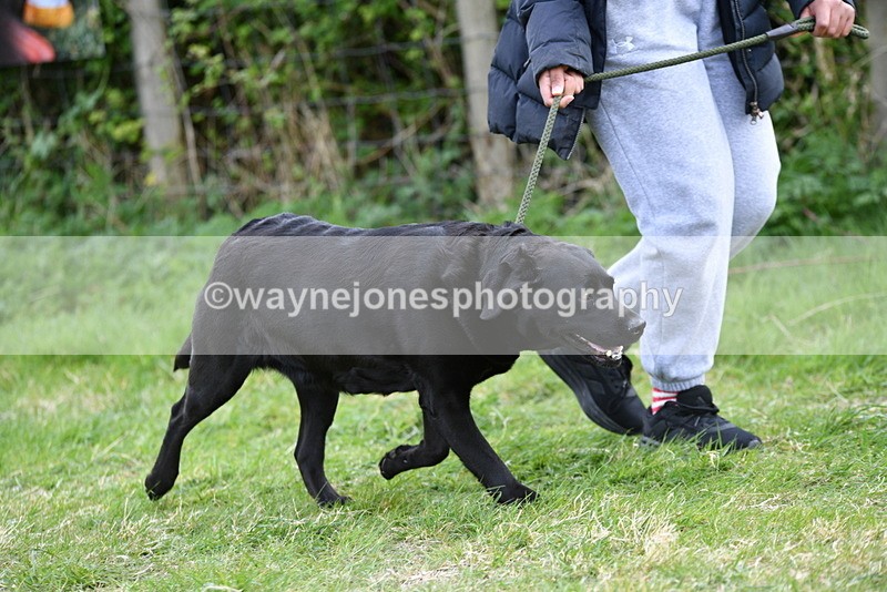 WJ5_0026 - Class 5 Best Veteran / 7 years & over