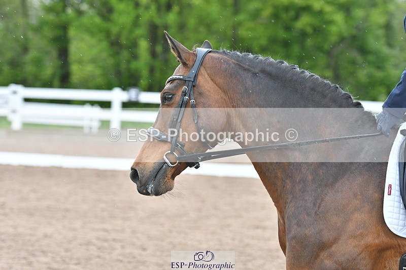 230511A-170441-01469 - Quest Cls 5 Prelim