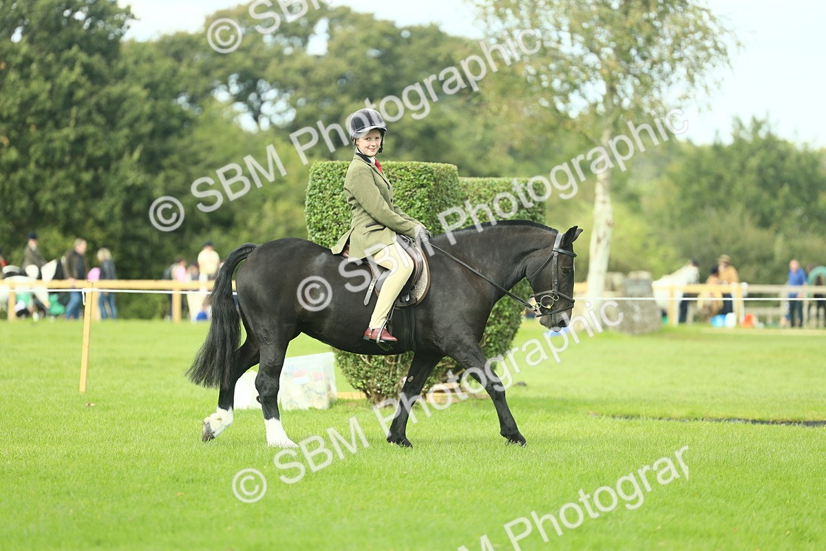 SBM_44864 - Working Hunter Pony Supreme Championship