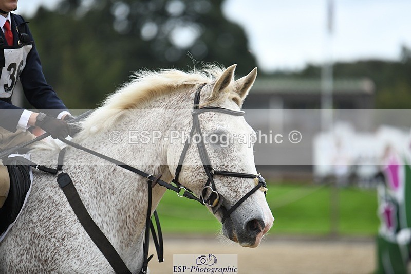 231001-152430-03216 - Cls 3 90cm