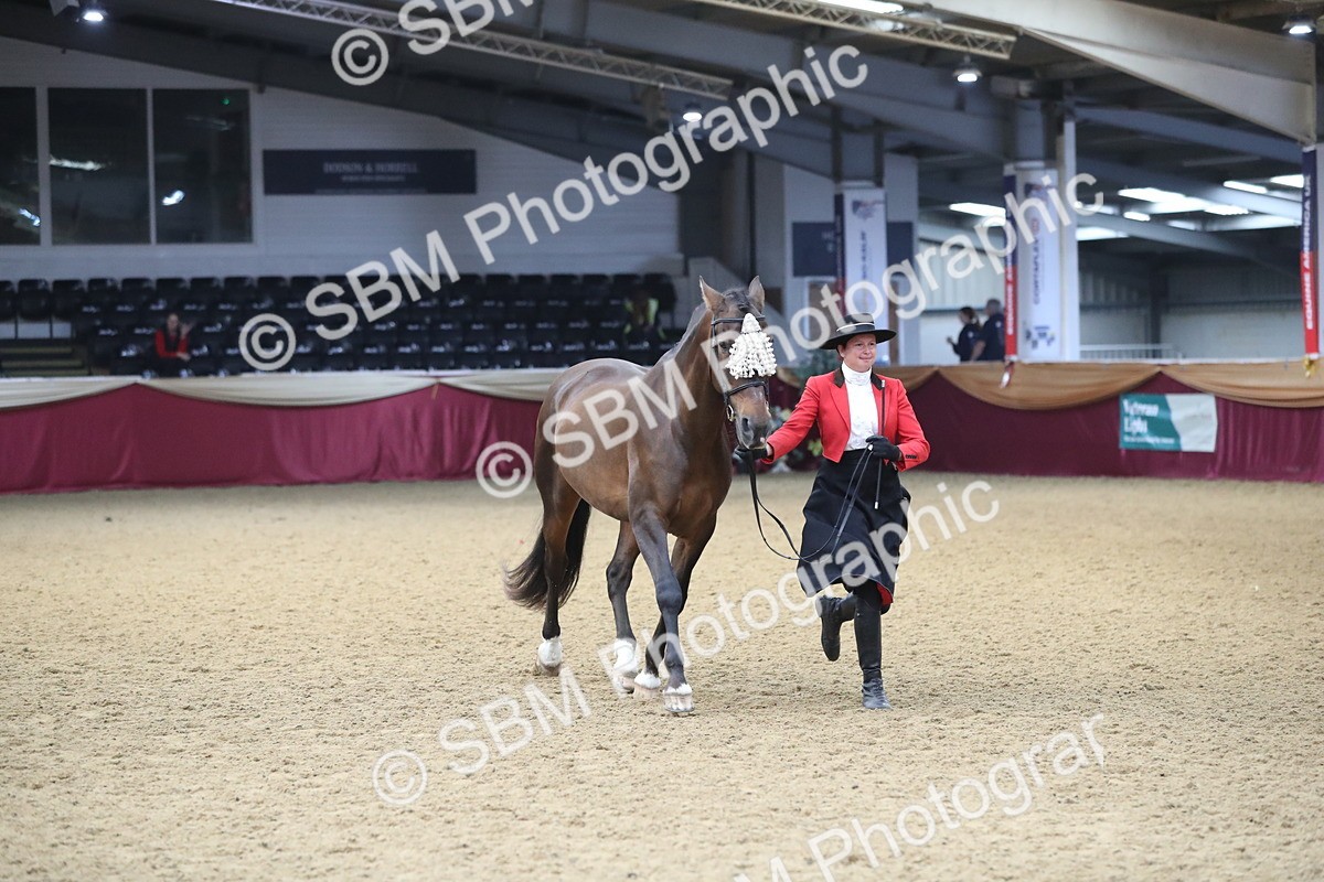 SBM_10804 - Class 103 IH Costume