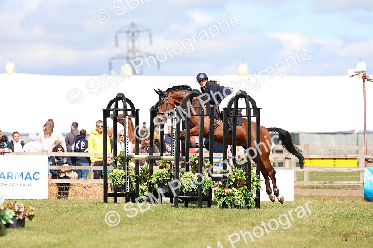 SBM_13542 - Class 206 - Senior Newcomers - 1.10m Open