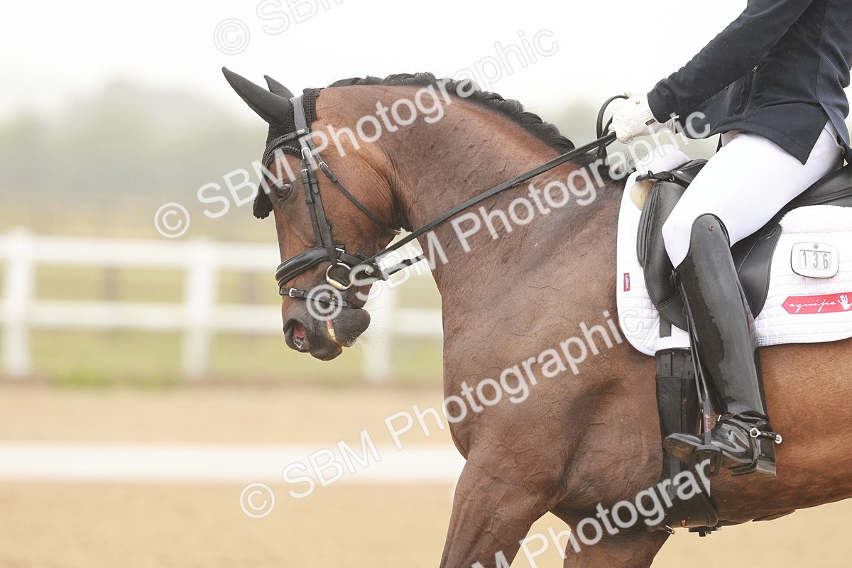 SBM_009978 - Class 11 - Elementary 6 - 12.40-13.36