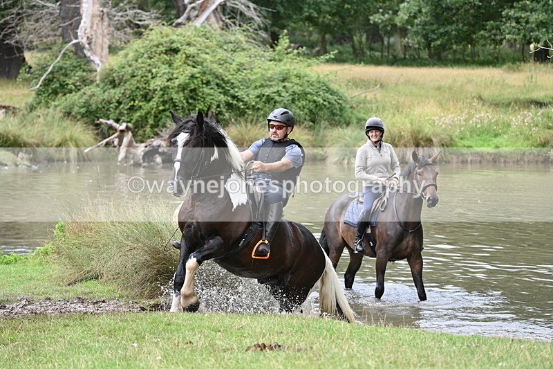 WJ7_4089 - Time at Water 12:52 to 13:22