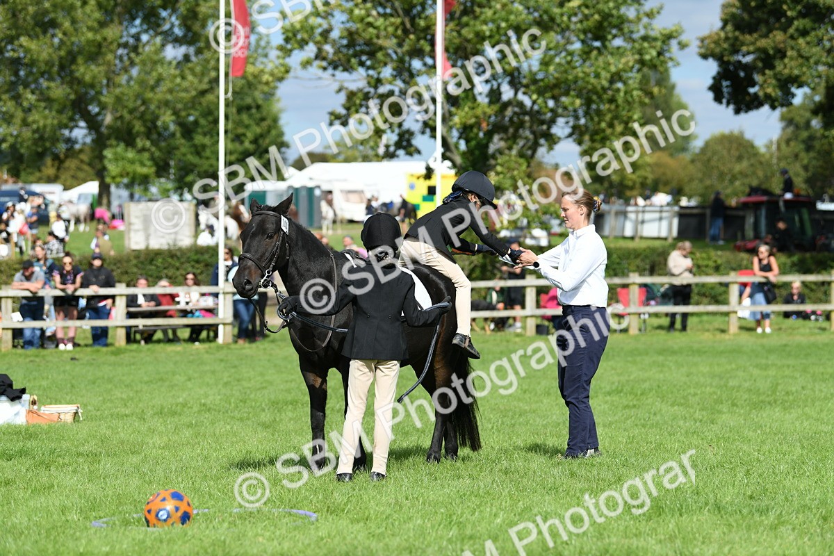 SBM_46960 - S12 - Family Horse & Pony
