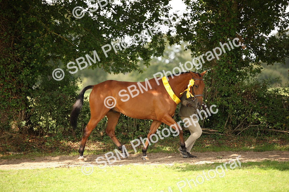 SBM_62934 - In Hand Horse Supreme Championship