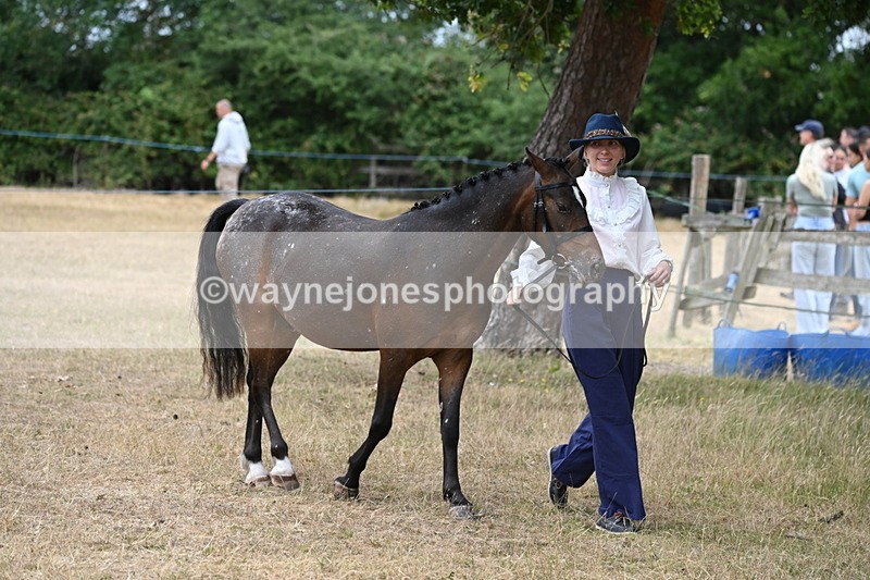 WJ6_7955 - Class 10 Coloured in Hand
