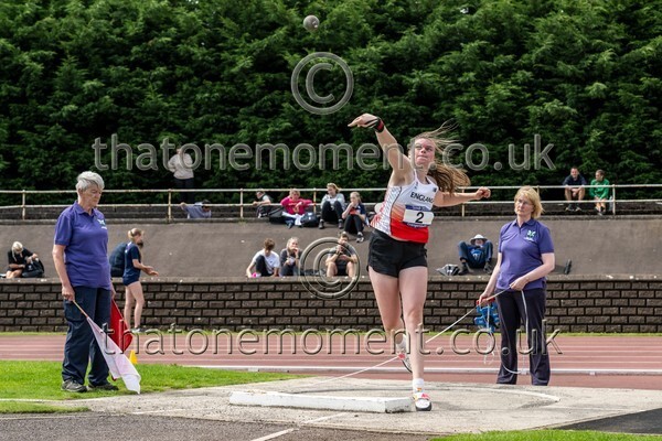 SIAB23-914302 - Field Female Set Two