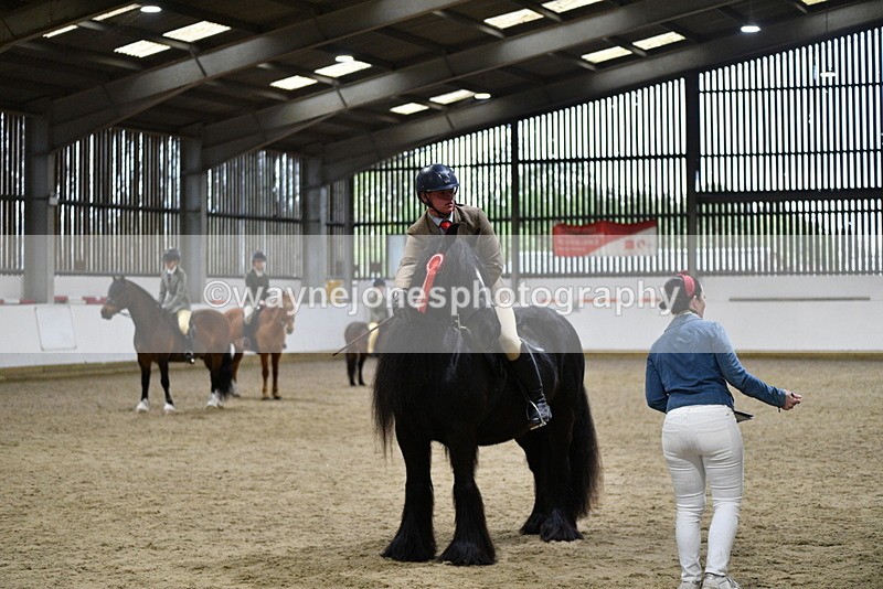 WJ5_8678 - Class 14 Novice Ridden/Rider