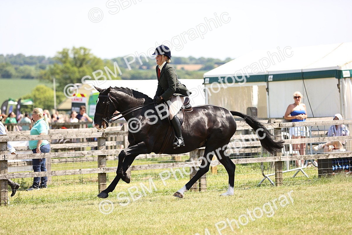 SBM_15135 - Class 79-80 - LIHS BSHA Rising Star Ridden Hunter