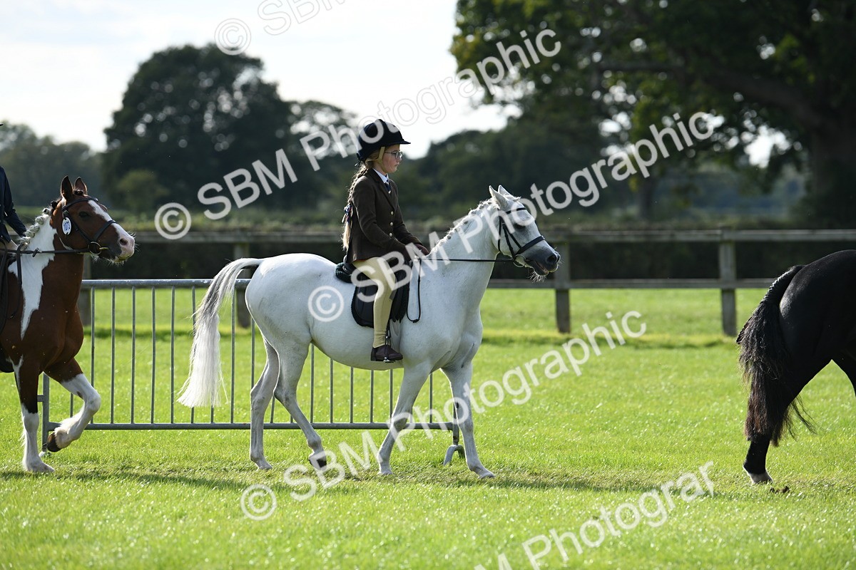 SBM_51792 - S21 - Novice & Newcomers 1st Ridden Pony