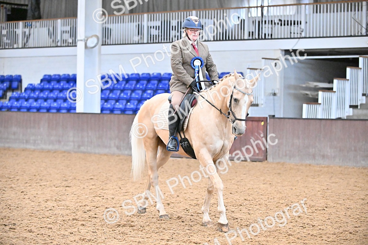 SBM_001482 - Class 19,20 - Ridden Native, Foreign Breeds & Warmbloods